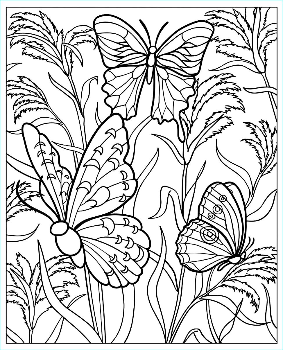 image=insectes coloriage difficile papillons 1
