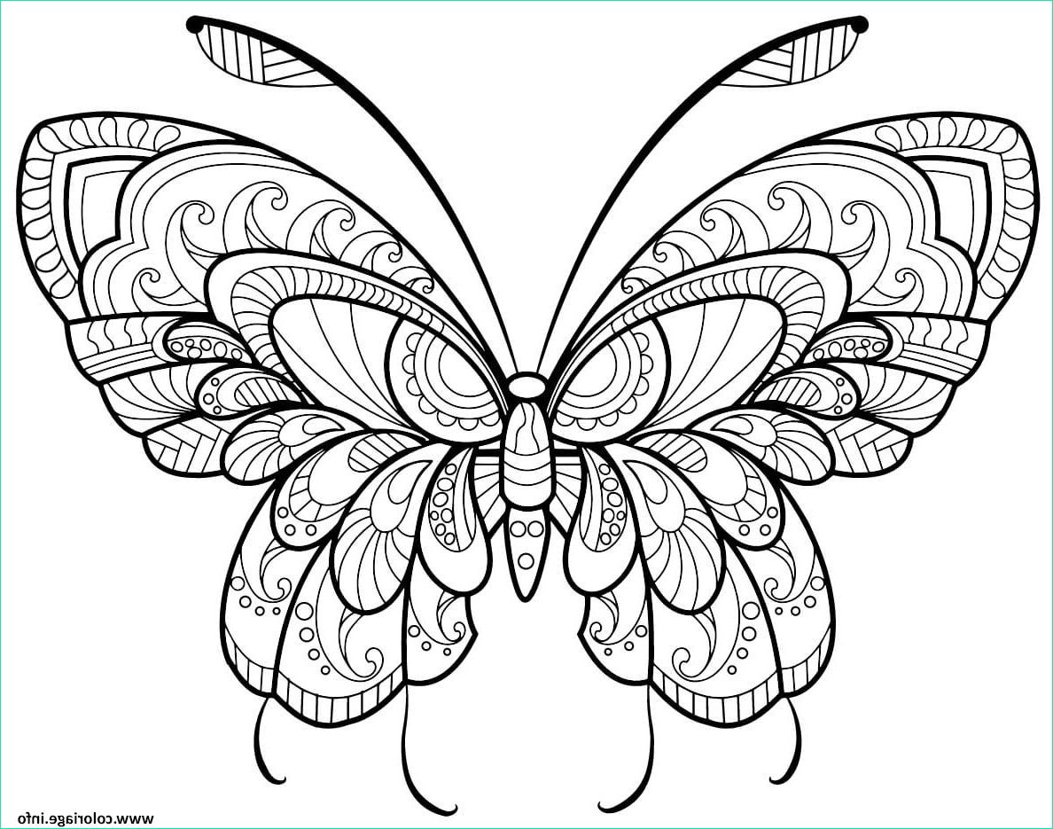 papillon adulte jolis motifs 11 coloriage