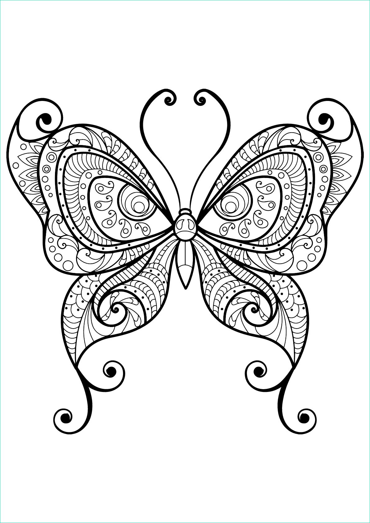 image=insectes coloriage papillon jolis motifs 10 1