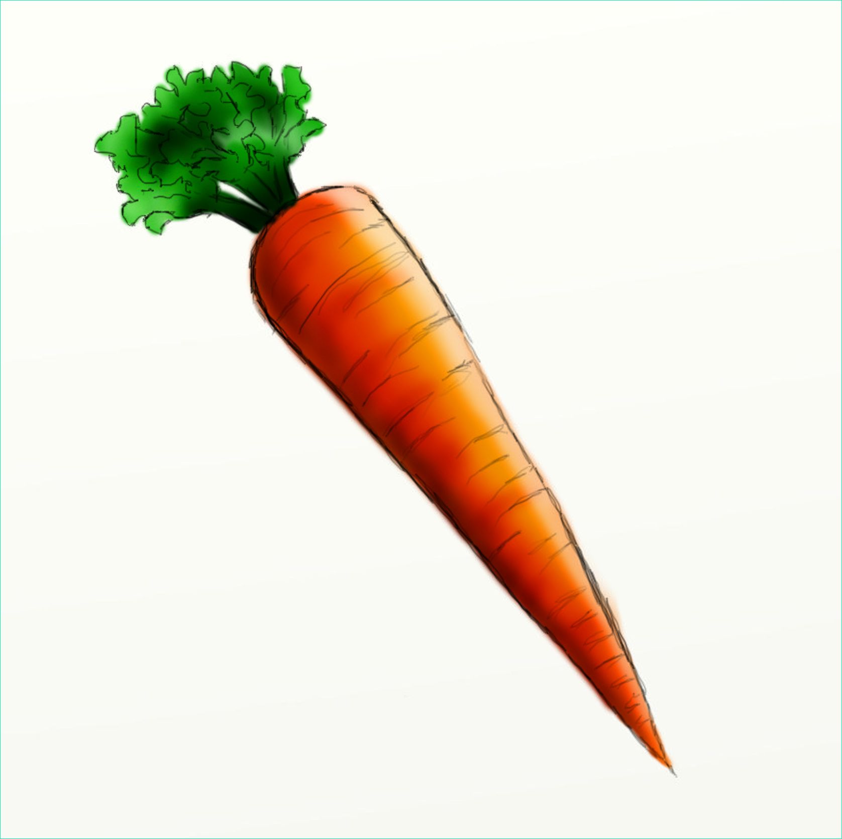 coloriage carotte