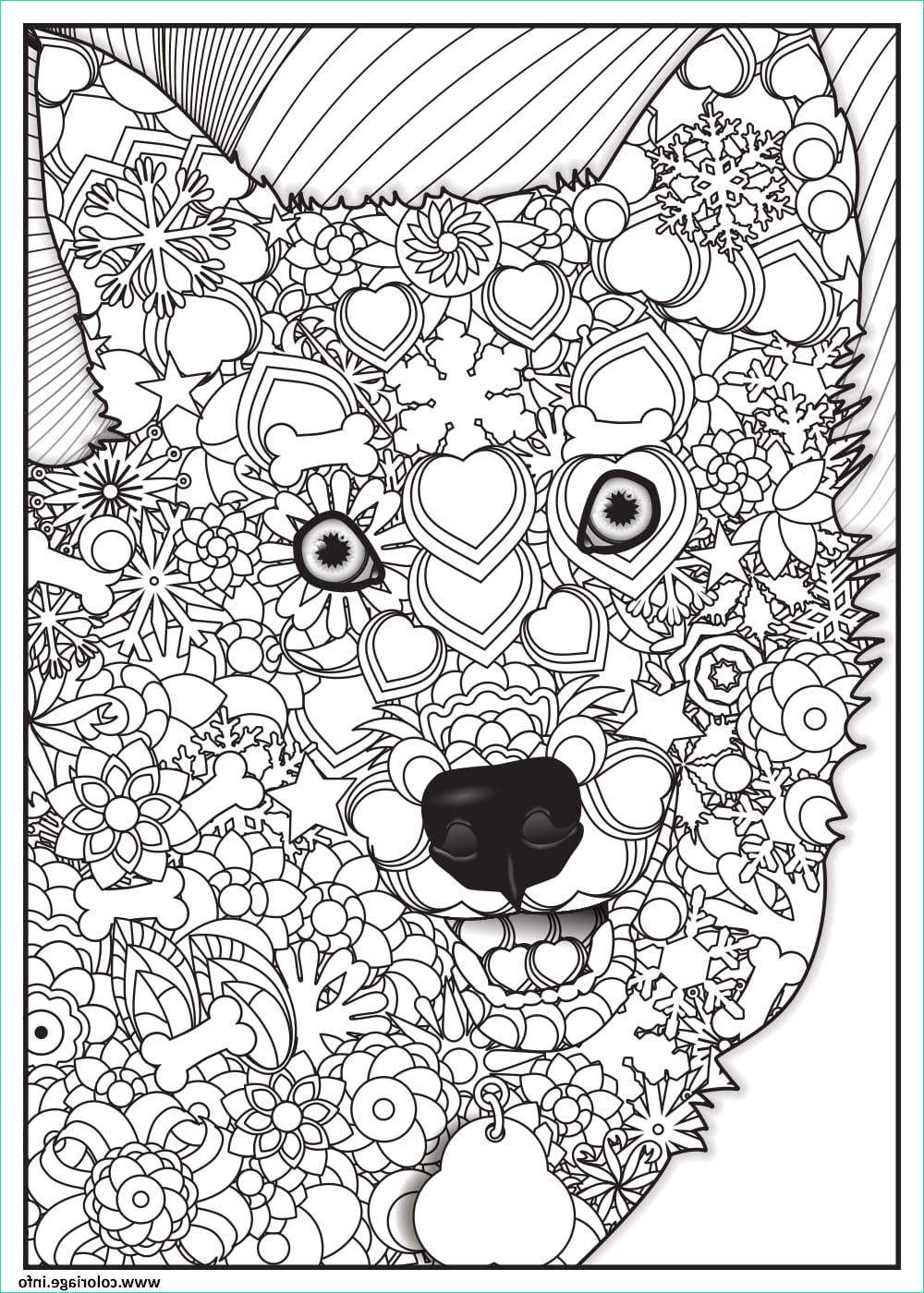 loup wolf adulte animaux coloriage
