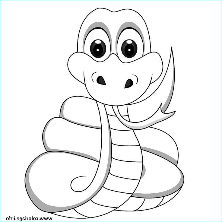 bebe serpent animaux coloriage dessin