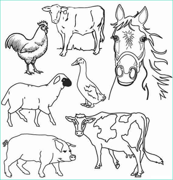 dessin d animaux de la ferme 2