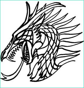 dessin facile de dragon inspirant photographie apprendre dessiner un dragon chinois avec dragon g 7 et