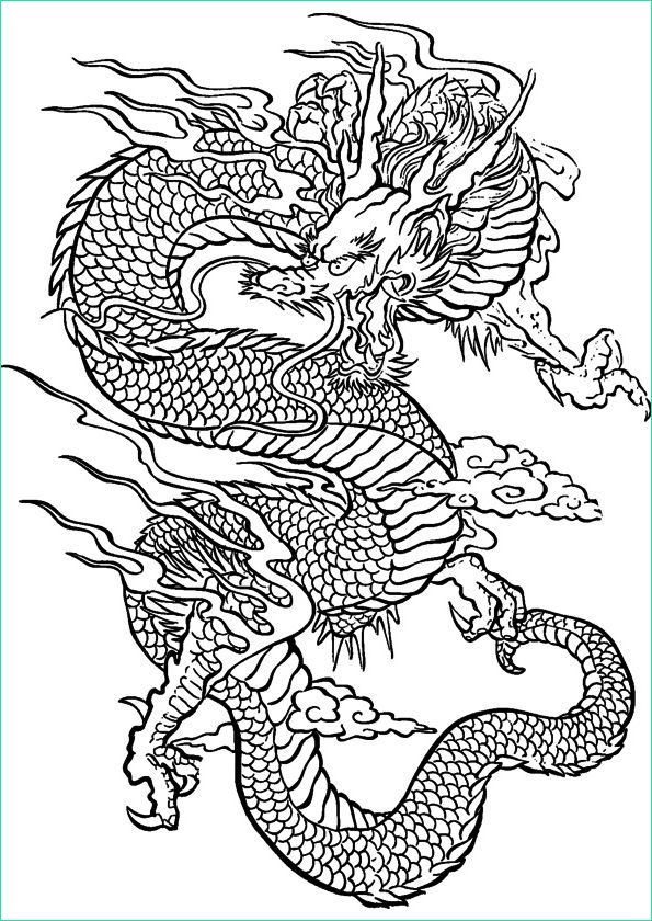 dessin de dragon chinois