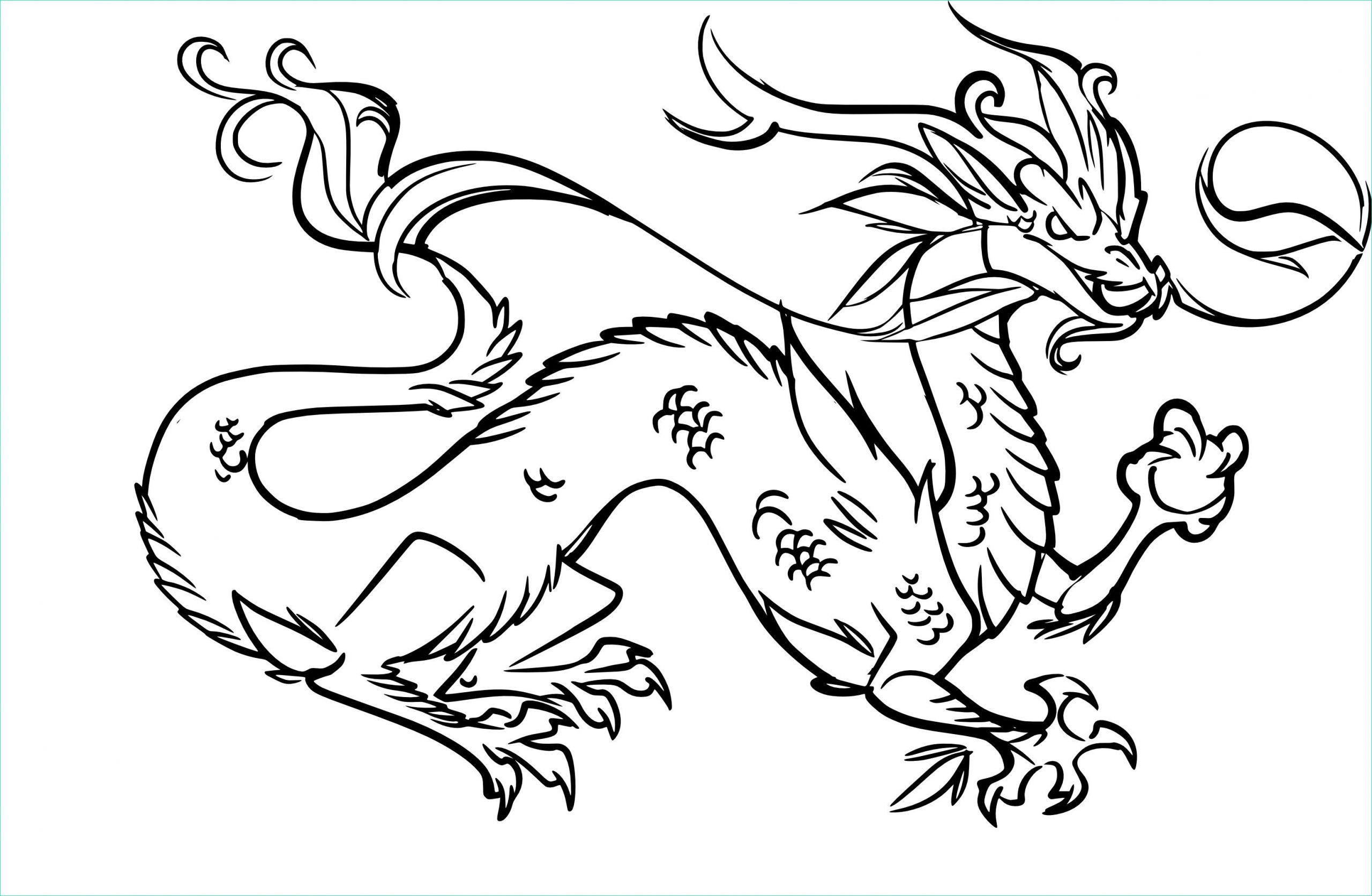 dragon chine