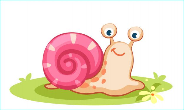 illustration vectorielle escargot dessin anime mignon