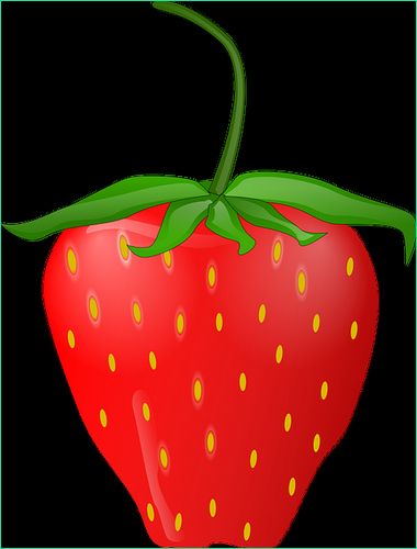 1618 fraise dessin