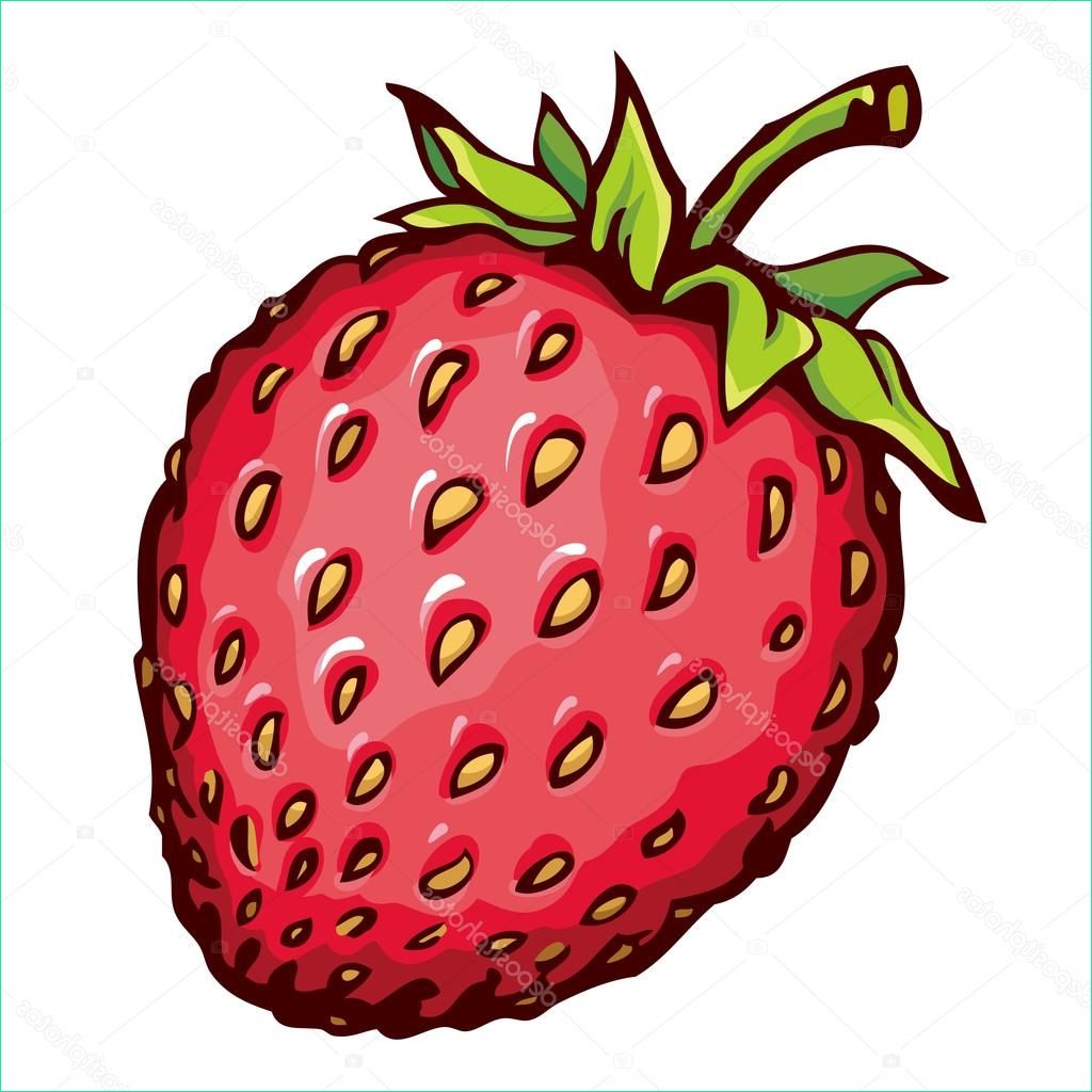 stock illustration strawberry vector drawing