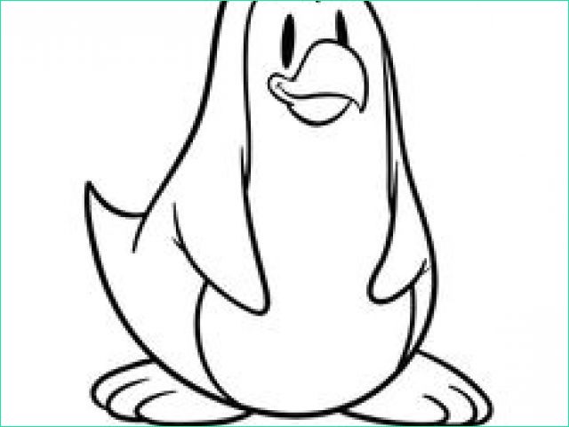 coloriage banquise pingouin 28 best animaux images on pinterest