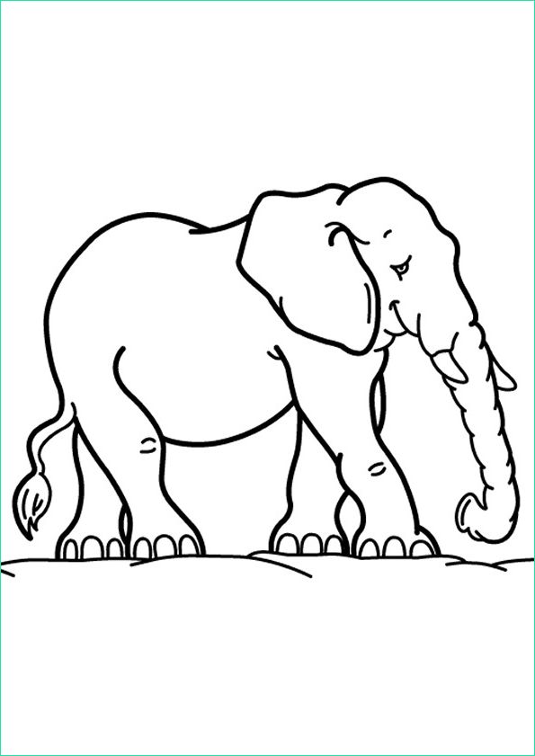 elephant maternelle 9581