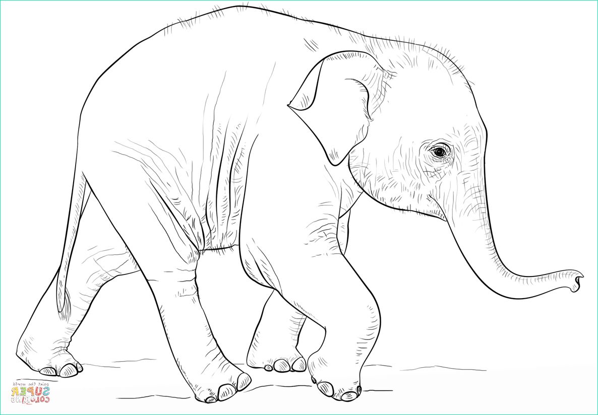 coloriage elephant en ligne