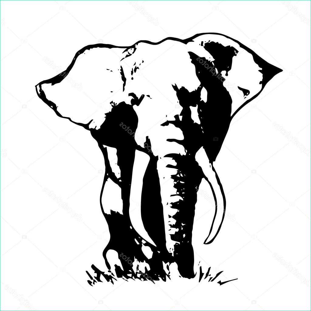elephant simple drawing