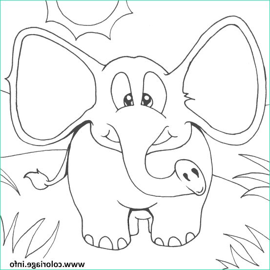 dessin elephant facile