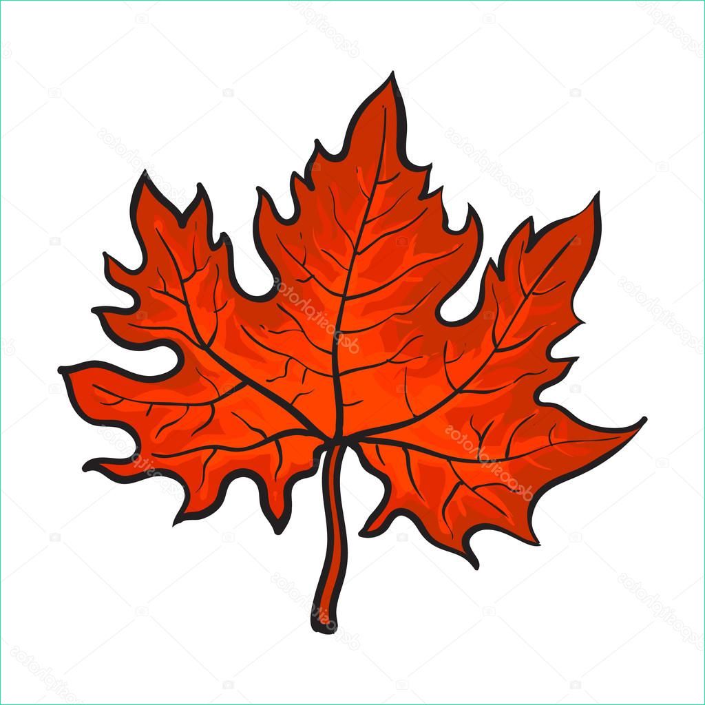 stock illustration beautiful red colored autumn maple
