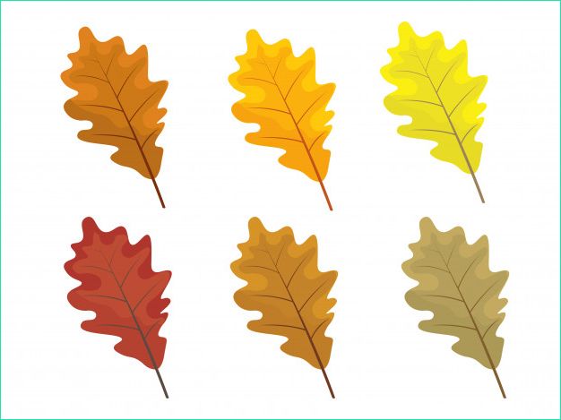 ensemble feuilles automne colores dessin anime style plat leafs