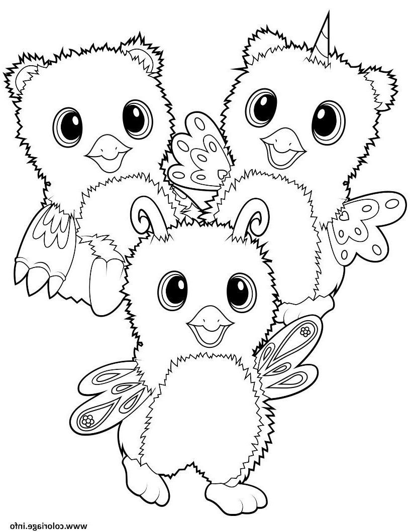 hatchimal burtle owlicorn bearakeet coloriage dessin