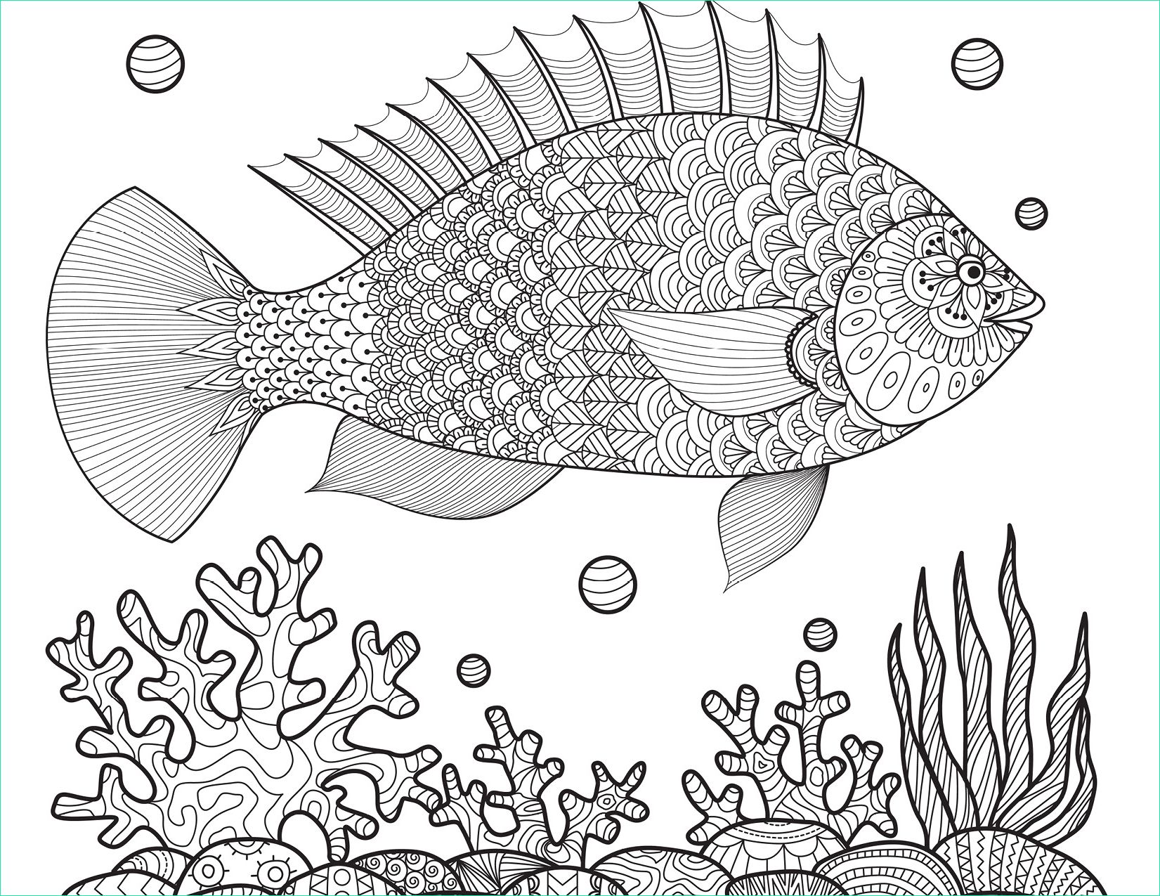 dessin poisson coloriages ete a imprimer gratuitement