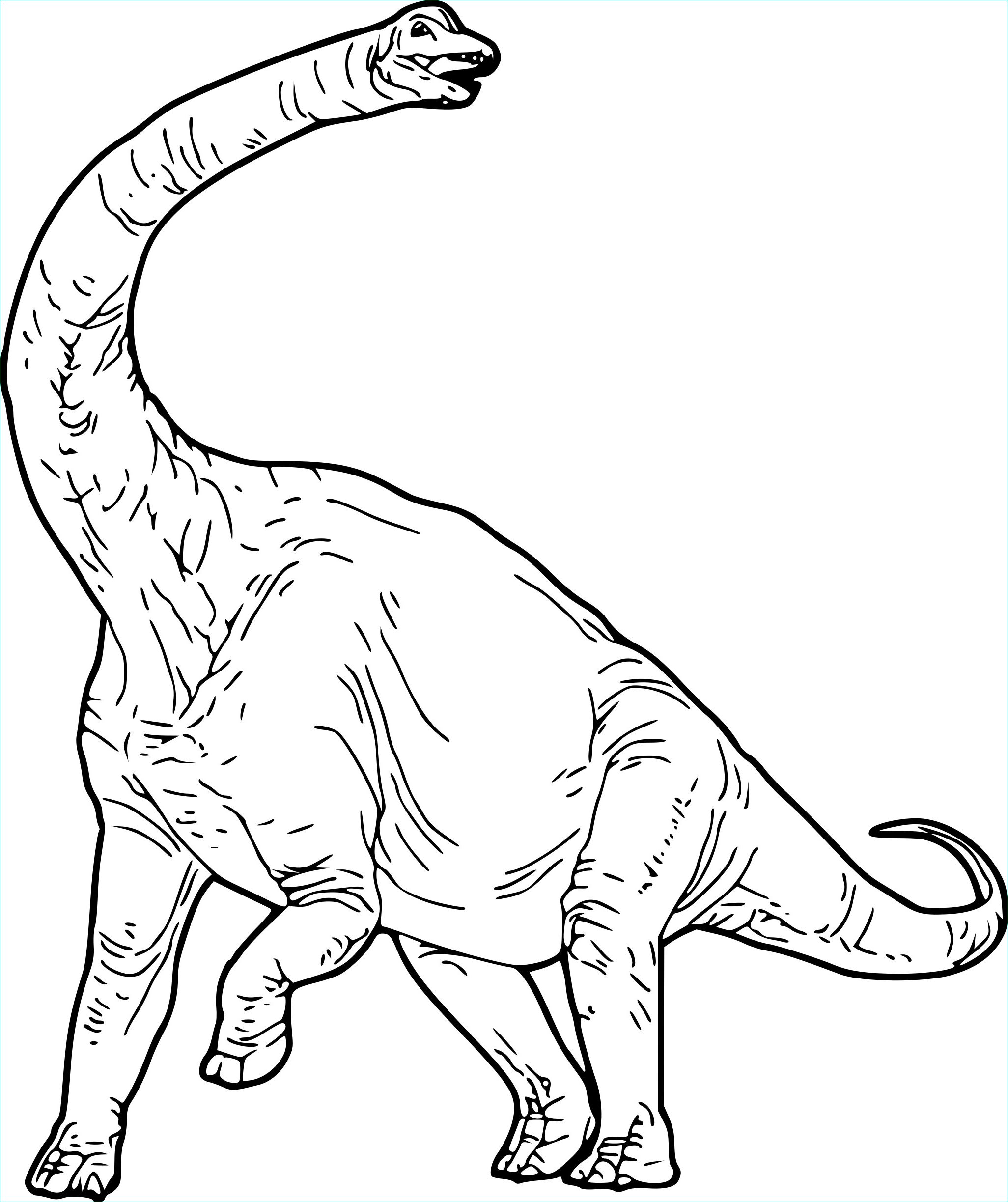 brachiosaure dinosaure