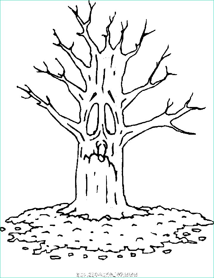 imprimer coloriage 7504 un arbre sans feuilles en automne