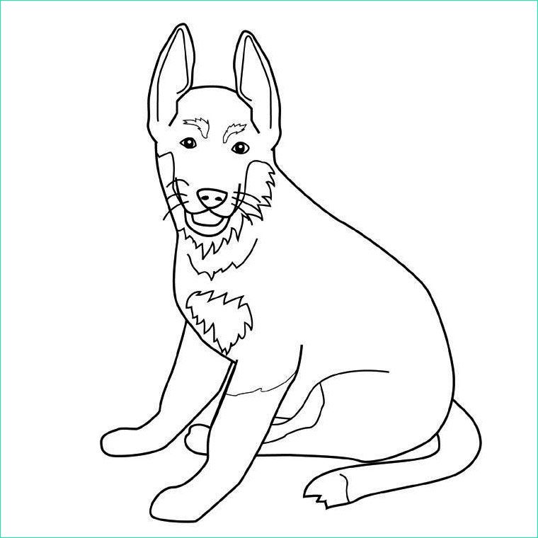 dessin de chien facile a dessiner