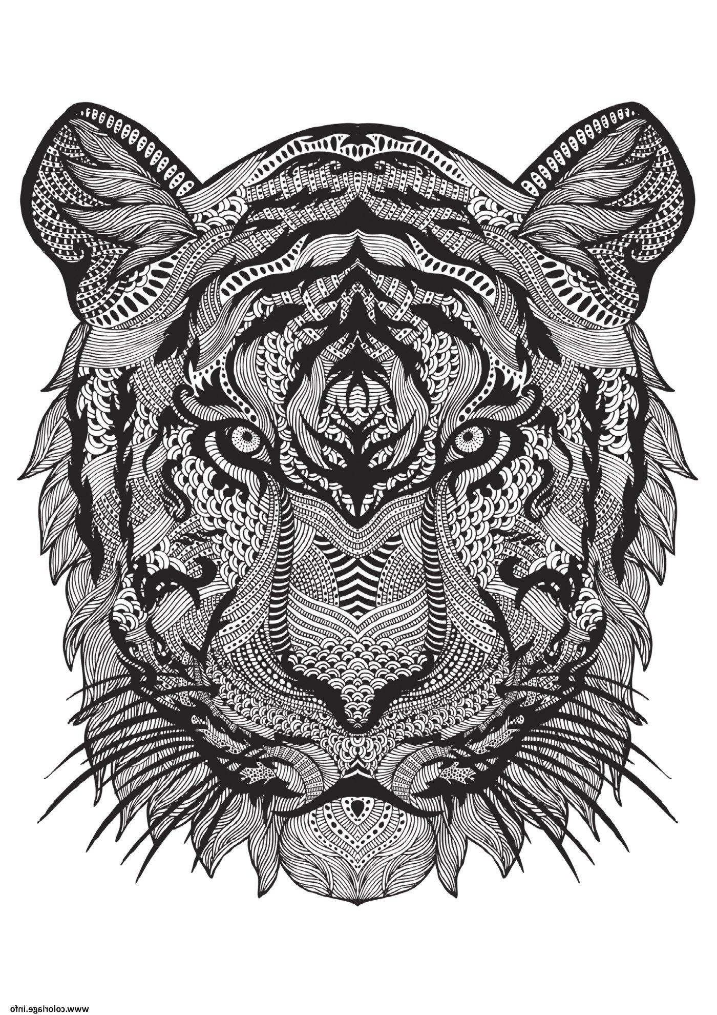 adulte animal tigre difficile antistress coloriage