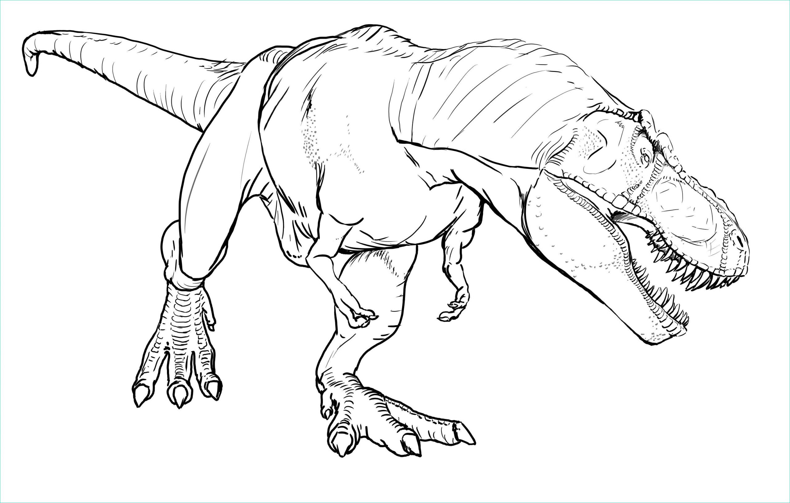 coloriage imprimer dinosaure t rex de telematik institut dedans dinosaure imprimer