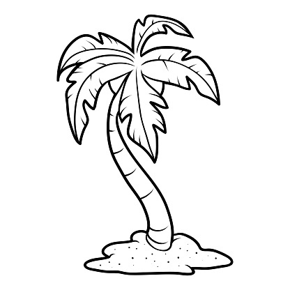 livre de coloriage pour les enfants les palmiers sur la plage gm