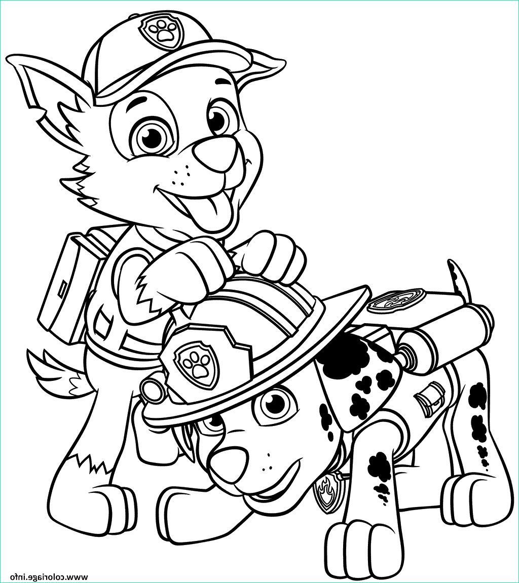 marshall and rocky of pat patrouille coloriage