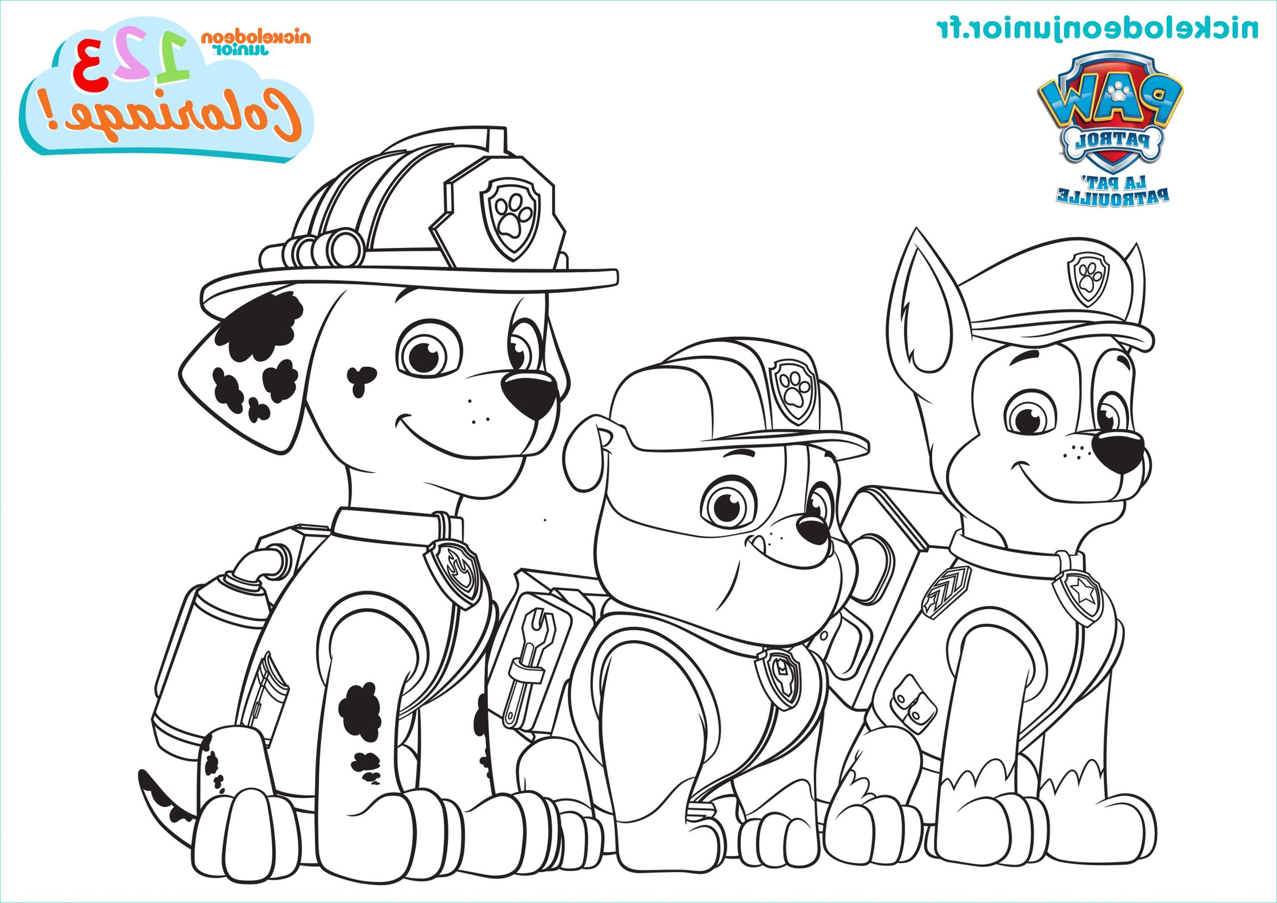 42 coloriage paw patrol images