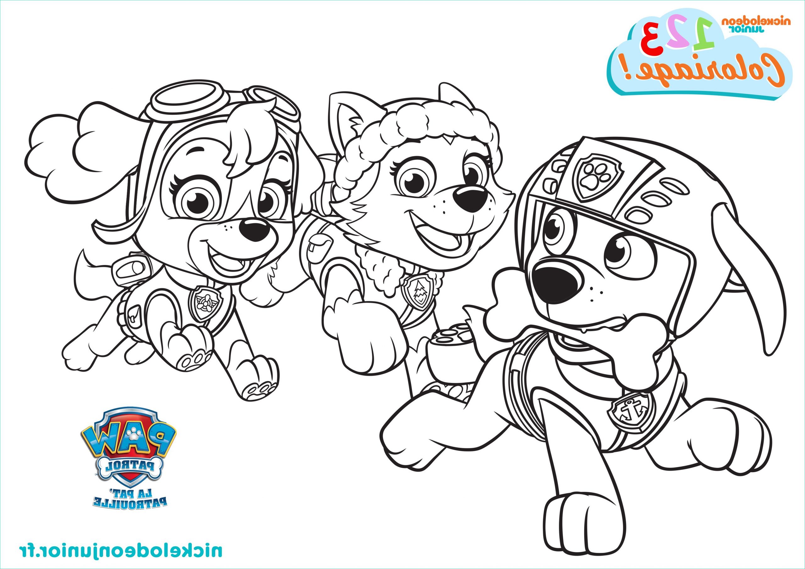 coloriages paw patrol3