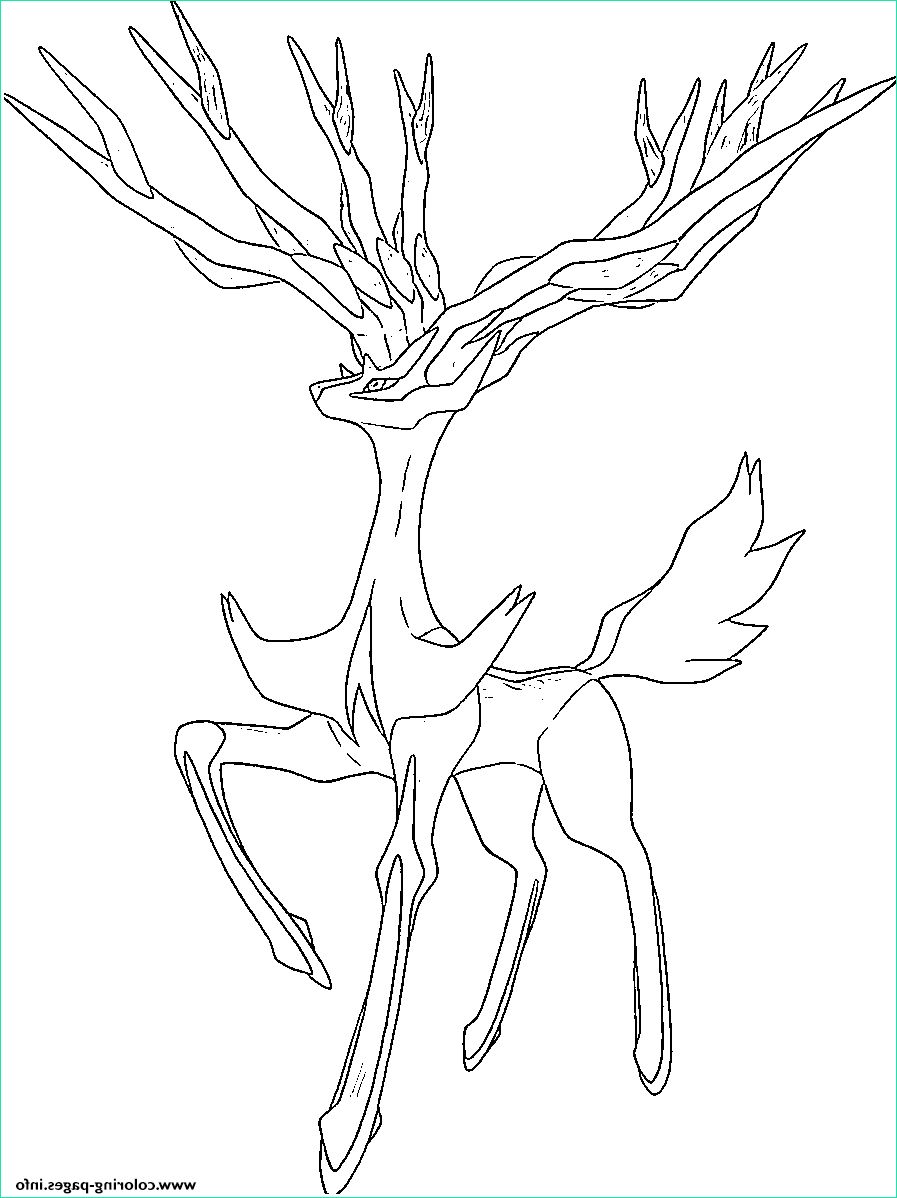 xerneas pokemon legendary generation 6 printable coloring pages book