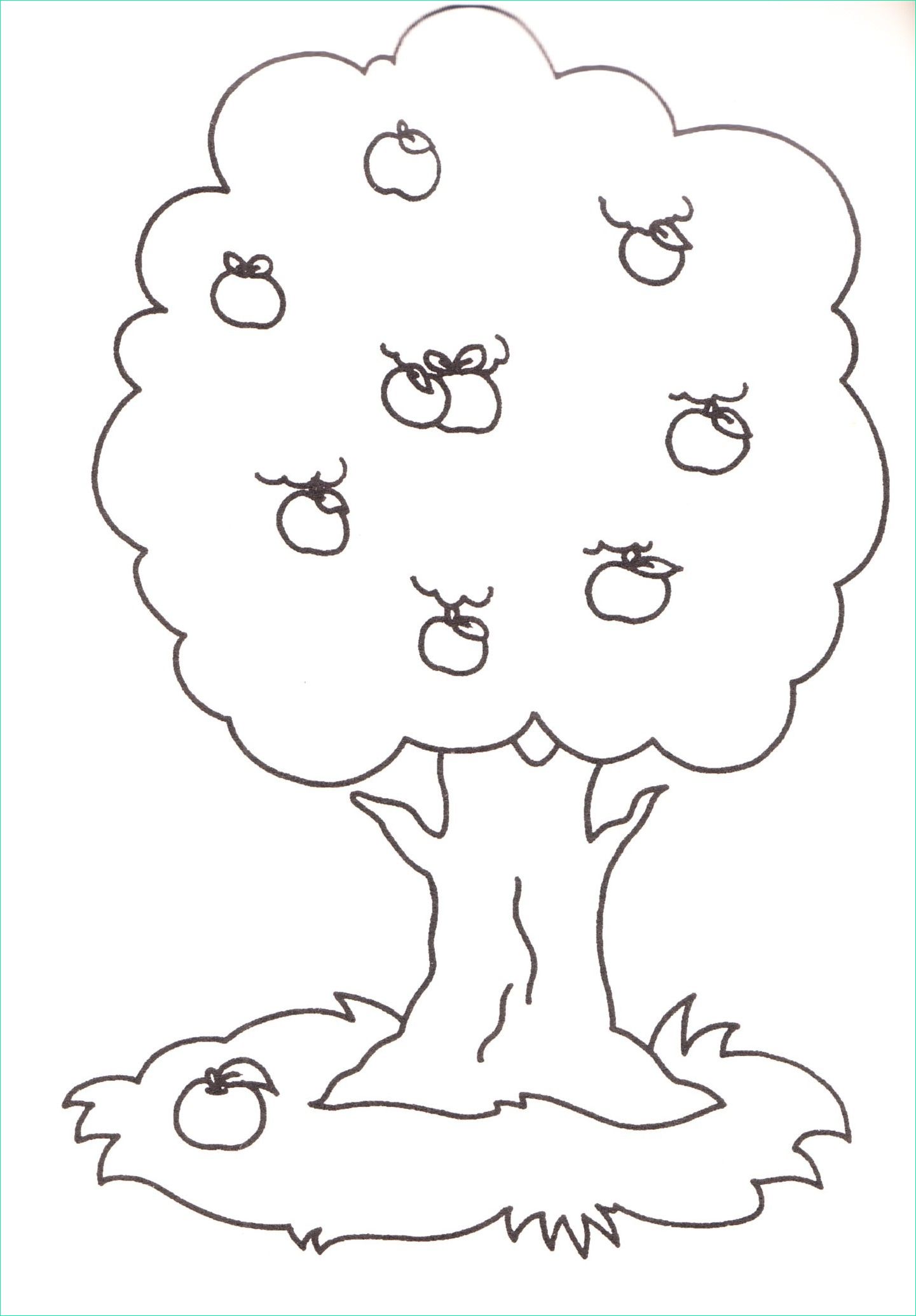 disegni colorare stampare bambini albero frutta
