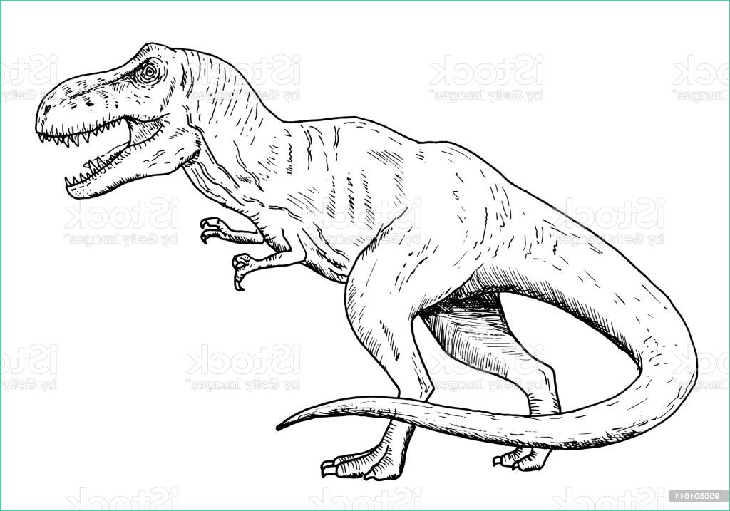 dessin de dinosaure croquis de la main de lillustration de tyrannosaurus noir et gm