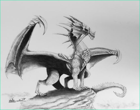 original realistic dragon drawing in