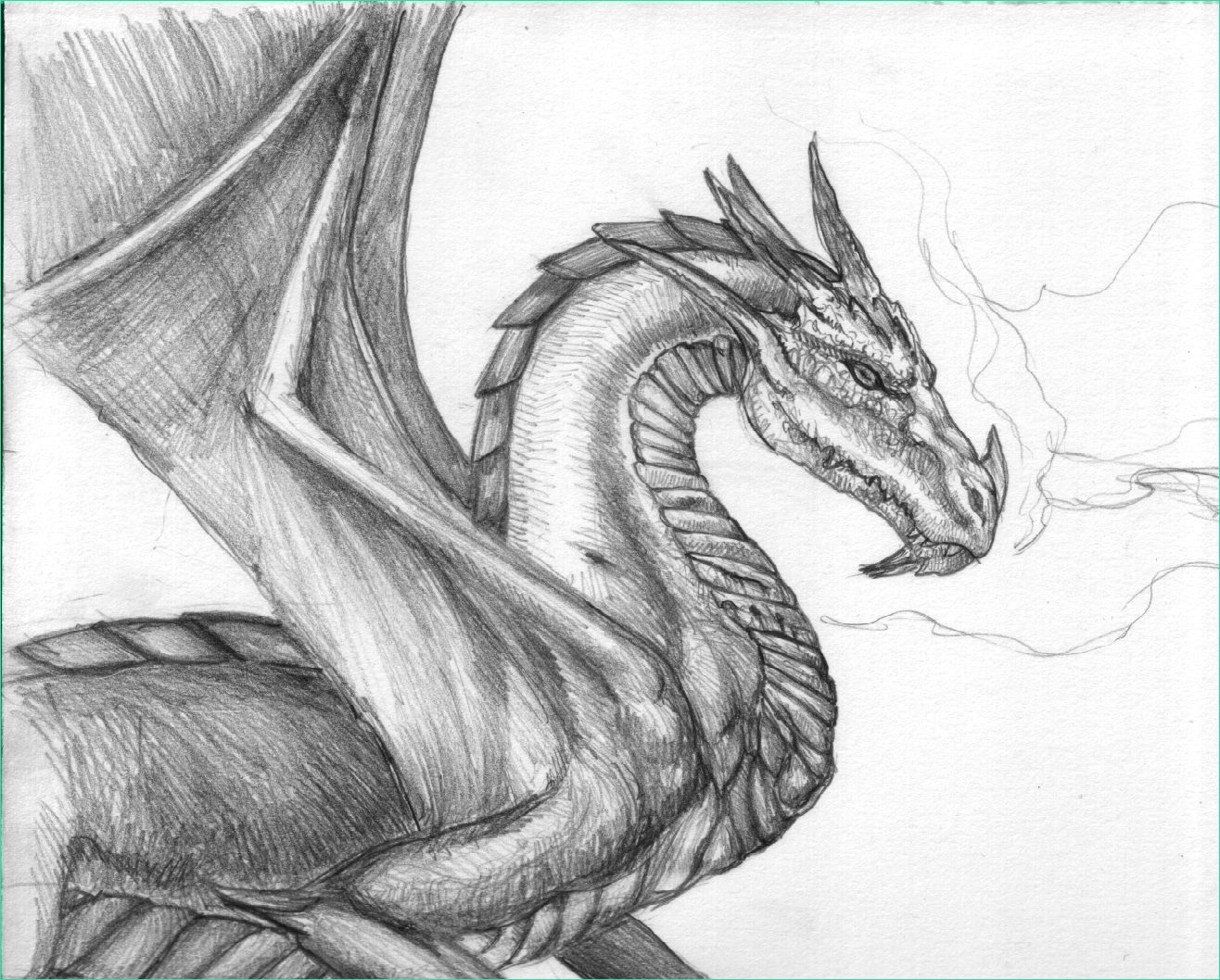 dragon2