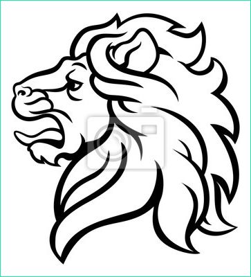 lion rugissant profil dessin