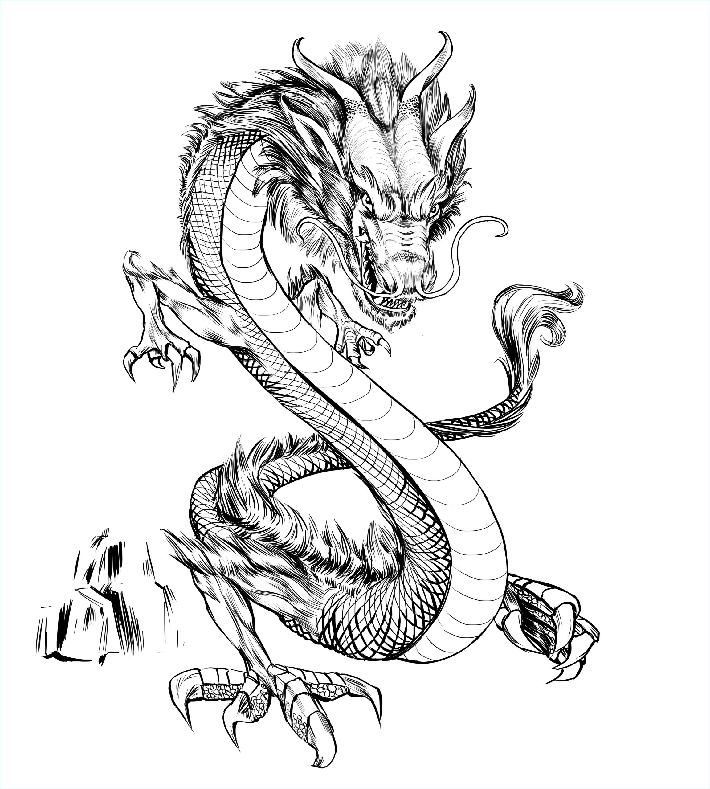 dessin tete de dragon chinois