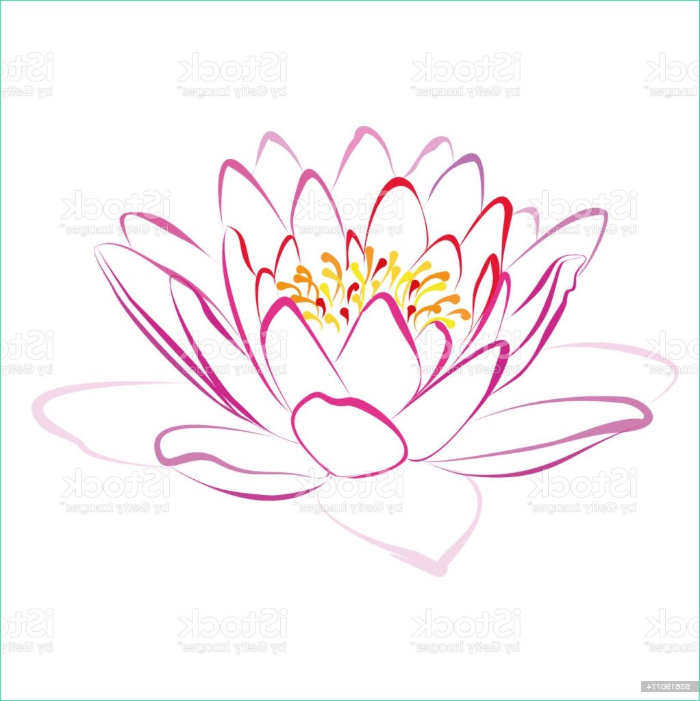 fleur de lotus de dessin vectoriel gm