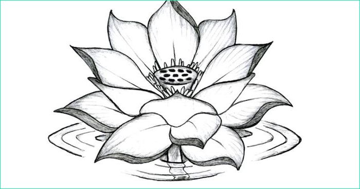 le tatouage fleur de lotus symbolisme et images qui le representent