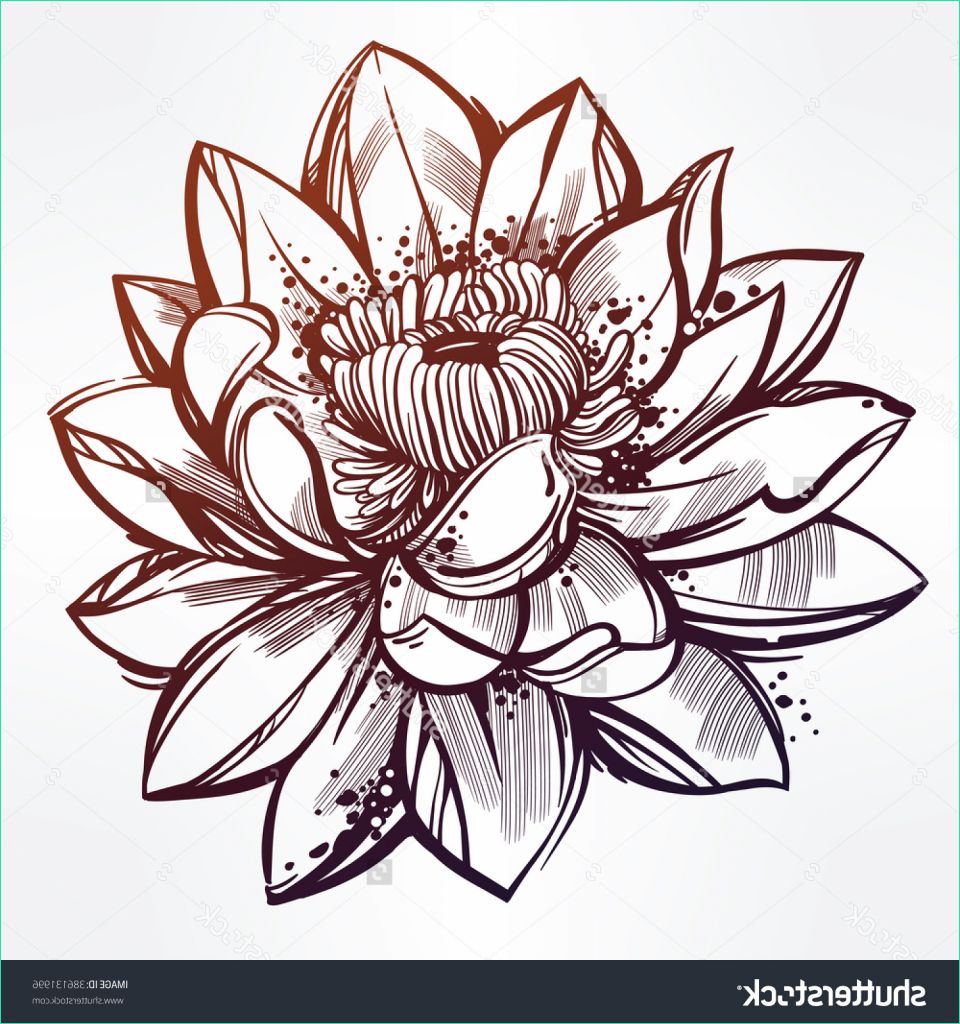 lotus drawing images