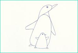pingouin dessin facile