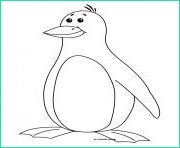 pingouin facile coloriage