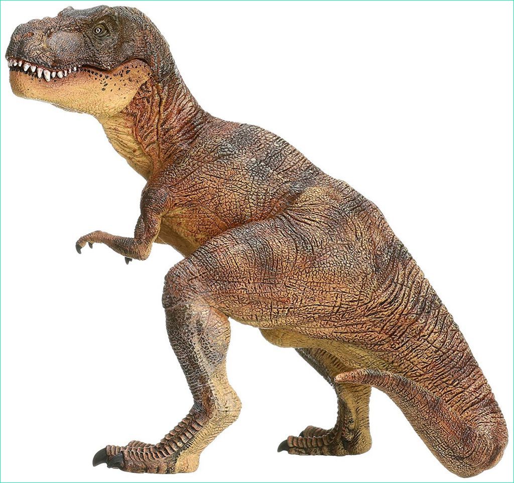 dessin dinosaure inspirant photos beau dessin dinosaure tyrannosaure a imprimer