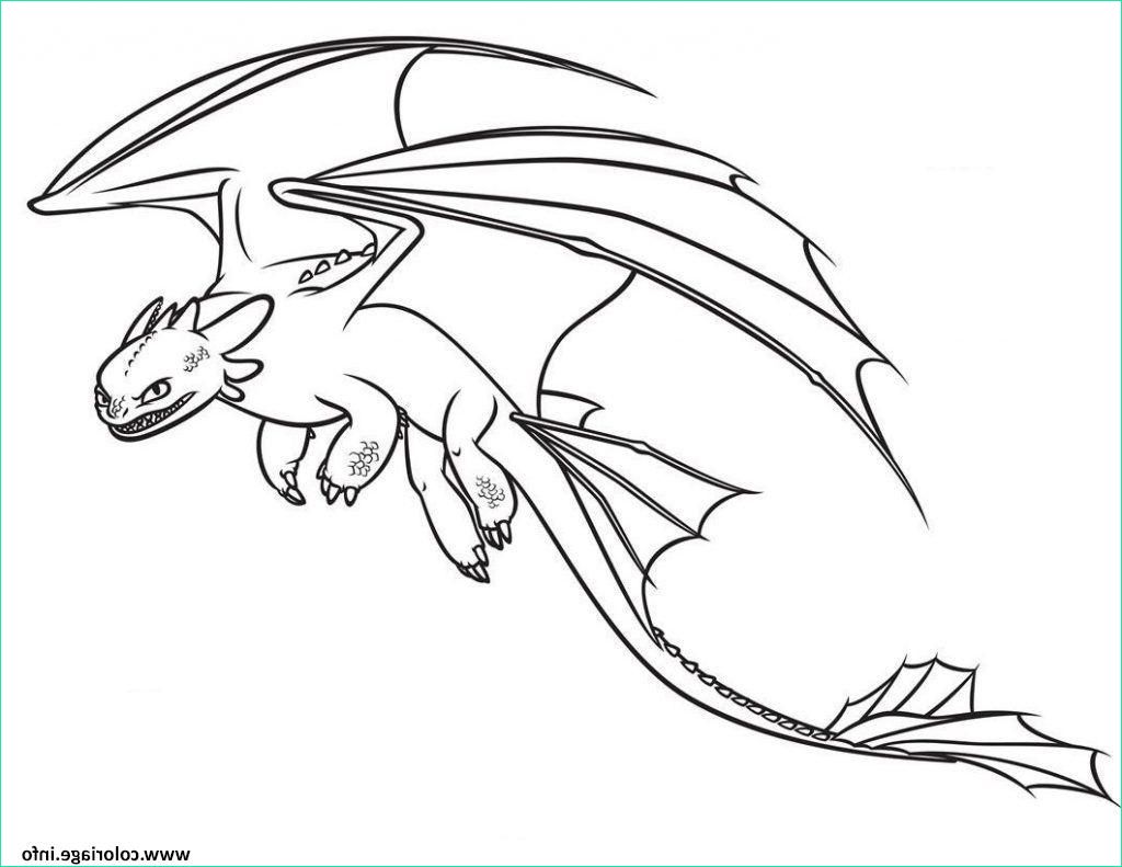 toothless fastest dragon coloriage