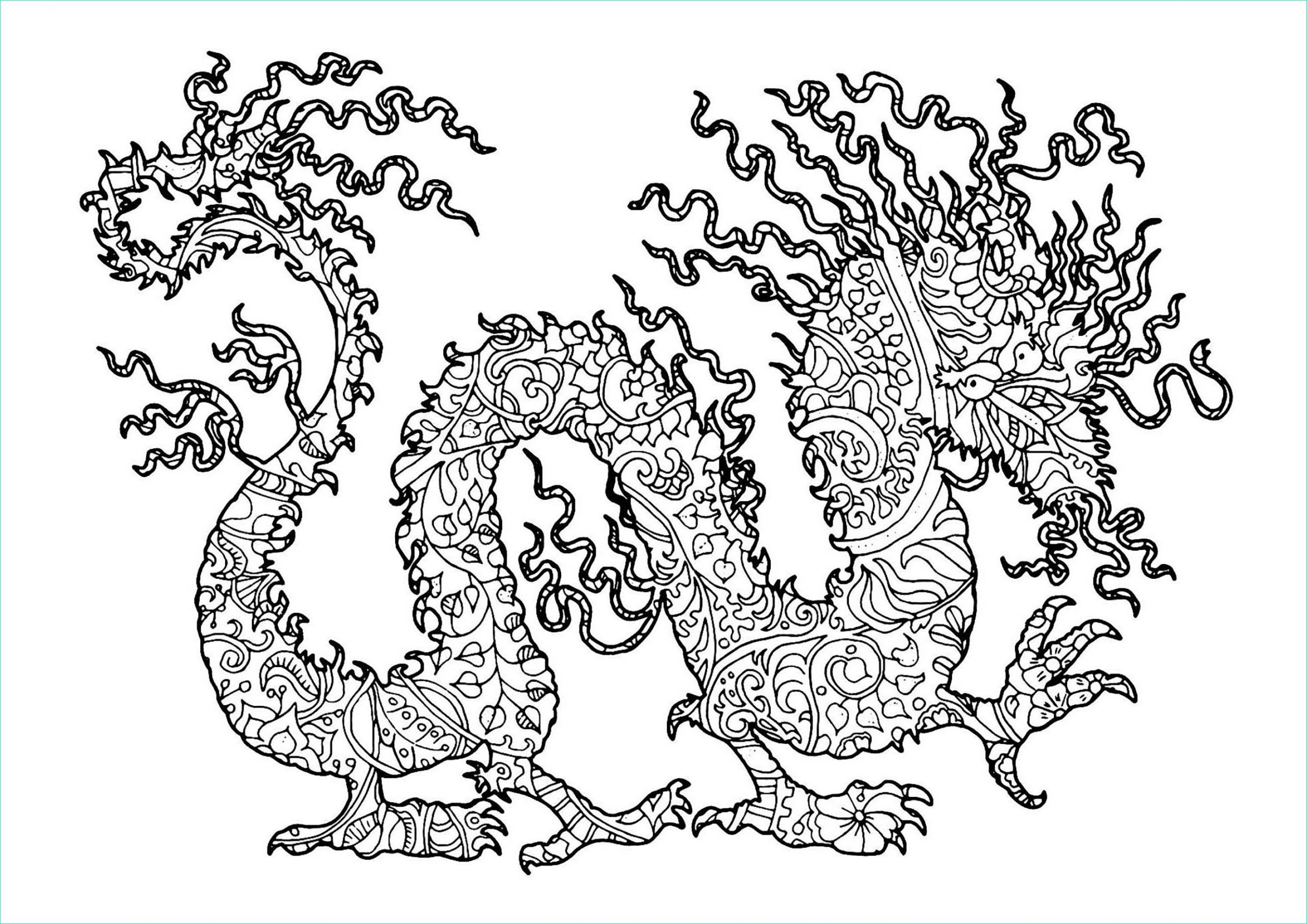 image=/dragons coloriage dragon plexe 1