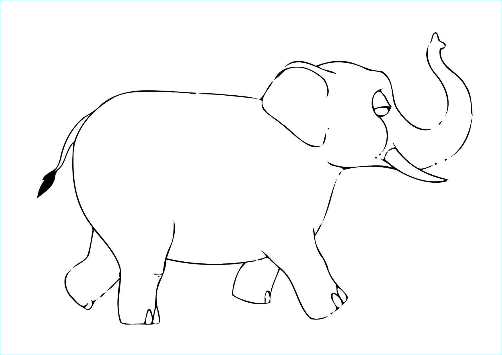 coloriage 07b elephant i