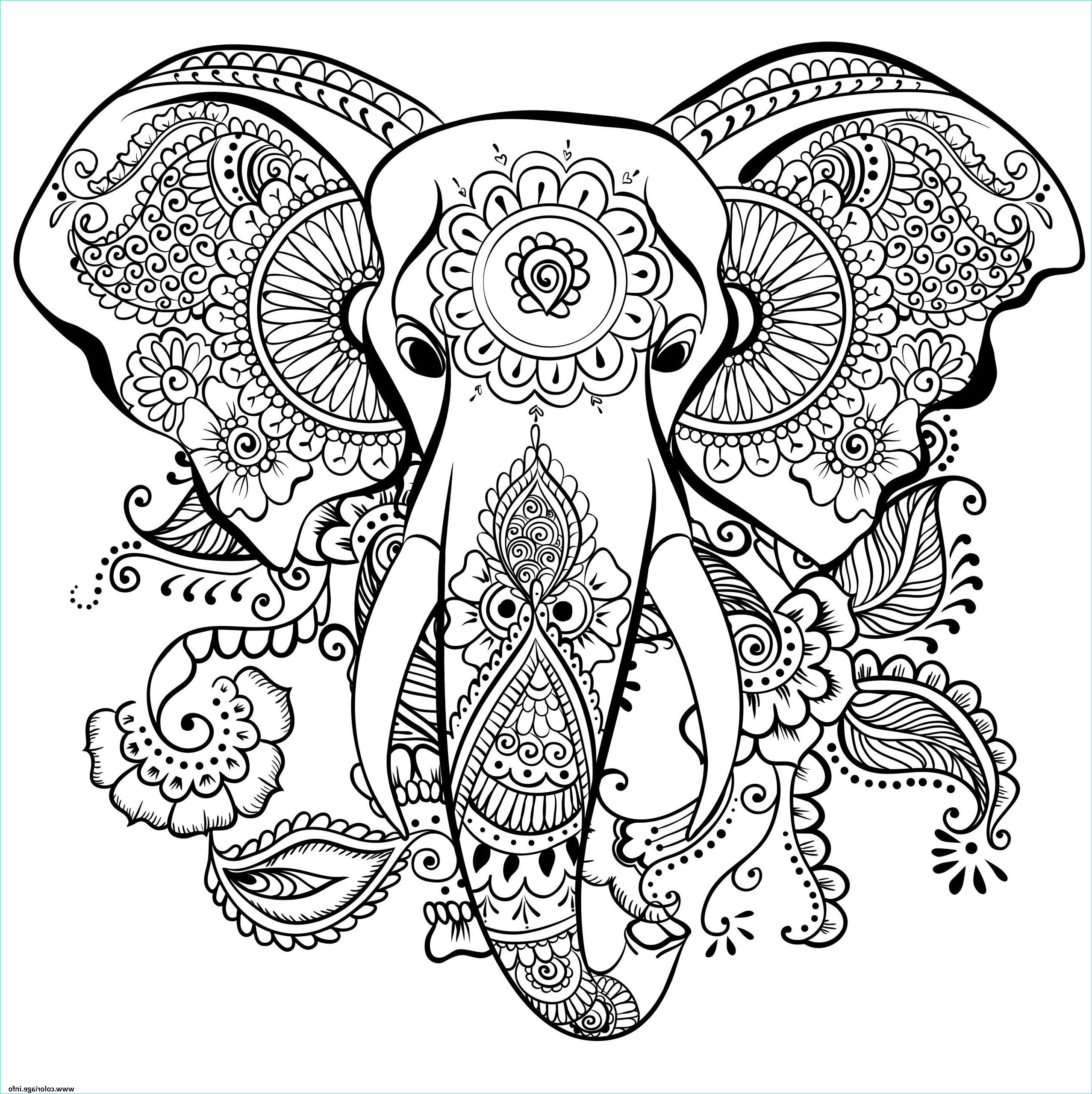 elephant anti stress adulte coloriage