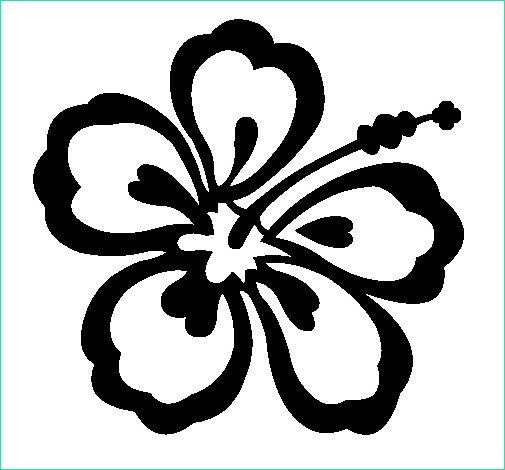 dessin fleur de tiare elegant collection dessin de fleur hawaienne colorie par membre non inscrit