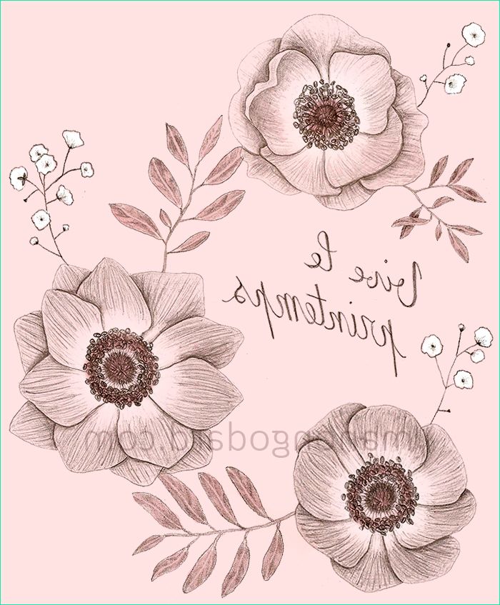 illustration fleurs crayon